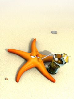 Star on the Beach