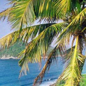 beach Grenada