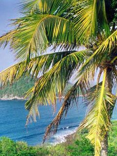 beach Grenada