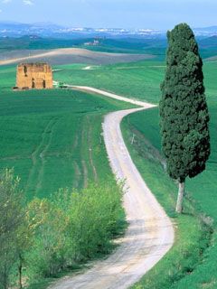 Country Road Tuscany Italy