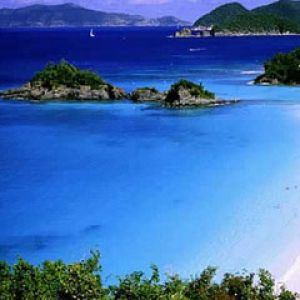 Trunk - Bay Virgin - Islands