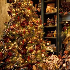 Christmas Tree Inside the House