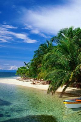 Zapatillas Bocas del Toro Islands - Panama