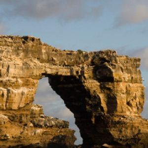Darwin Arch - Galapagos Islands