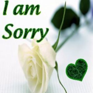 I am Sorry