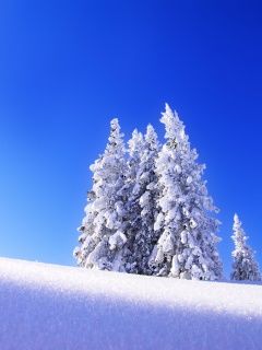 Nature - Winter
