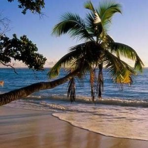 Silhouette - Seychelles